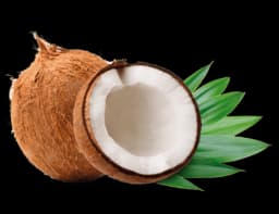 Coconut